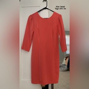 Pink Long-Sleeve Dress. Never Worn!